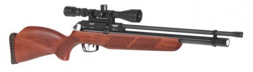 Gamo Coyote .25