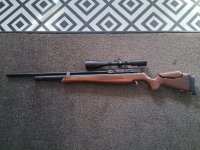 Hatsan bt65 sb carnivore