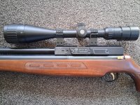 Hatsan bt65 sb carnivore