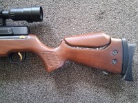 Hatsan bt65 sb carnivore