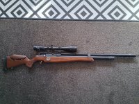 Hatsan bt65 sb carnivore