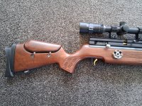 Hatsan bt65 sb carnivore