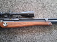 Hatsan bt65 sb carnivore