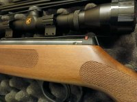 Nieuw Hatsan Striker 1000x