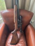 Gamo Coyote 5.5