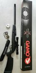 Gamo speedster igt gen3i. Gasram zgan
