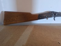 diana  mod 1