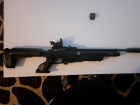 Reximex tormenta .25