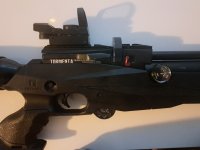 Reximex tormenta .25