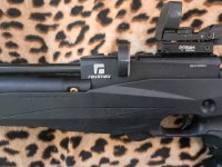 Reximex tormenta .25