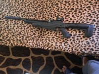 Reximex tormenta .25