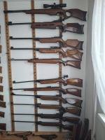 Collectie luchtbuksen (voornamelijk Diana)