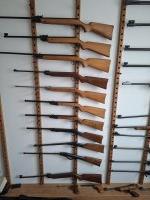 Collectie luchtbuksen (voornamelijk Diana)