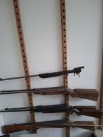 Collectie luchtbuksen (voornamelijk Diana)