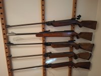 Collectie luchtbuksen (voornamelijk Diana)