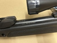 Gamo Replay 10 Magnum IGT GEN3