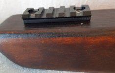 FX Dreamline bullpup kolf custom made