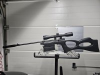 Ram Viper Set met houten kolf