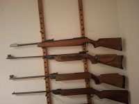 Kleine collectie Diana luchtbuksen