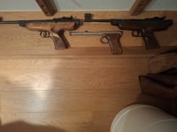 Kleine collectie Diana luchtbuksen