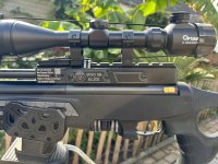 Te Koop Hatsan blitz .22