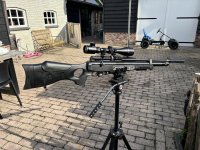 Te Koop Hatsan blitz .22