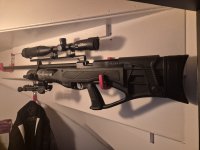 Hatsan piledriver. 50