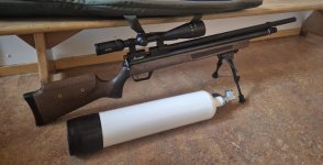 Benjamin Marauder .25